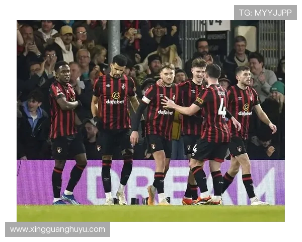 伯恩茅斯足球俱乐部历史回顾及未来发展展望