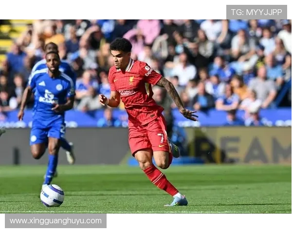 狼队新赛季备战深入分析 球队核心球员状态与战术调整成关键 狼队新赛季备战深入分析 球队核心球员状态与战术调整成关键