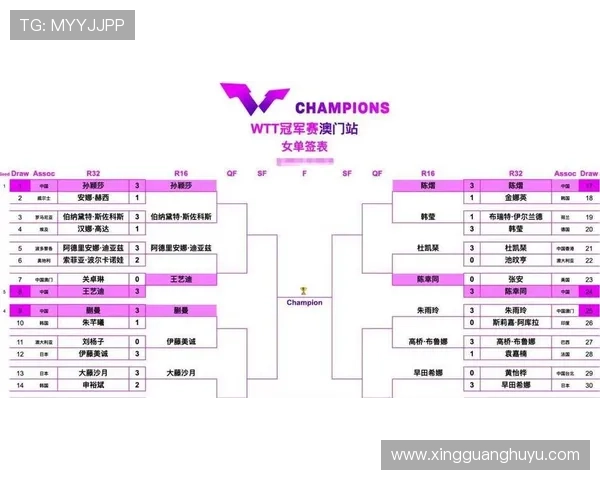 乒乓球德甲联赛一年比赛场次解析及赛程安排全方位深度揭秘