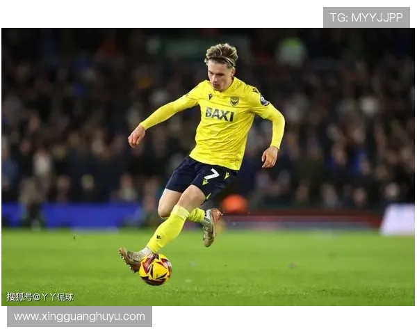 卡迪夫城足球俱乐部历史辉煌与未来发展展望分析