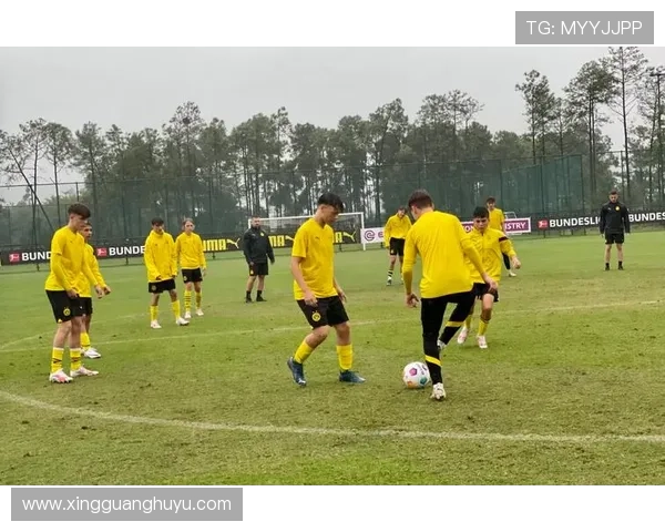 多特蒙德俱乐部加强阵容备战新赛季 重点引援与青训体系进一步优化